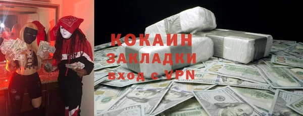 шишки Кондопога