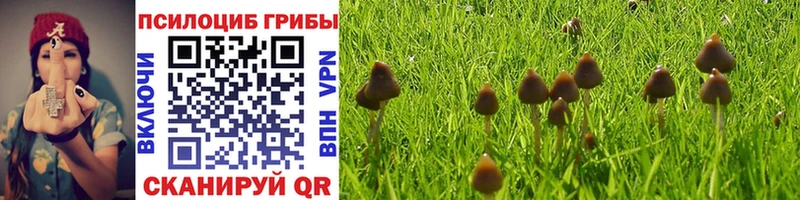 Галлюциногенные грибы GOLDEN TEACHER  Отрадный 