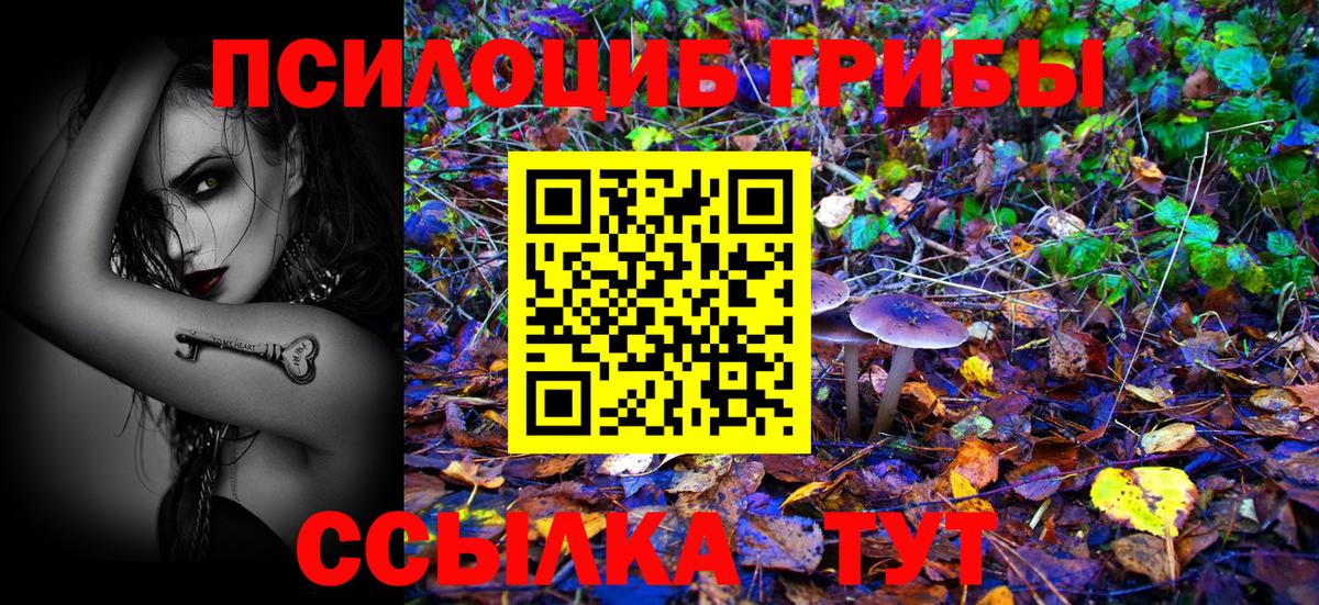 где купить   Вход с VPN  Отрадный  Галлюциногенные грибы Psilocybine cubensis 